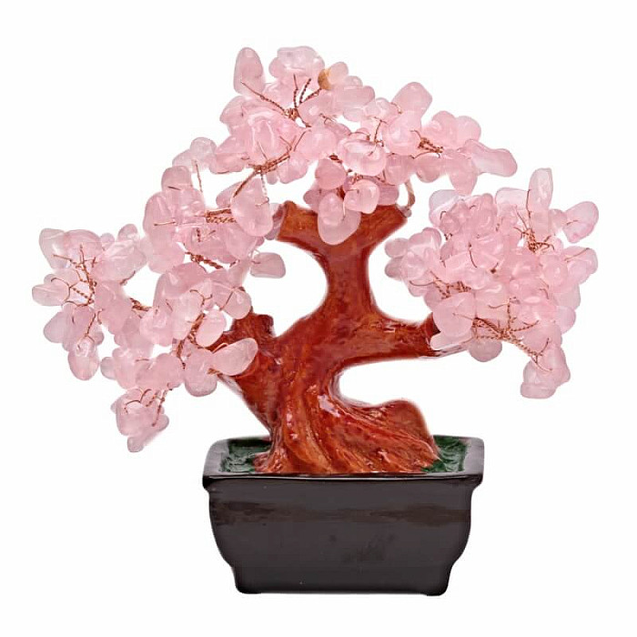 Bonsai z růženínu - dekorace domů a kanceláře - cca 15 x 17 cm